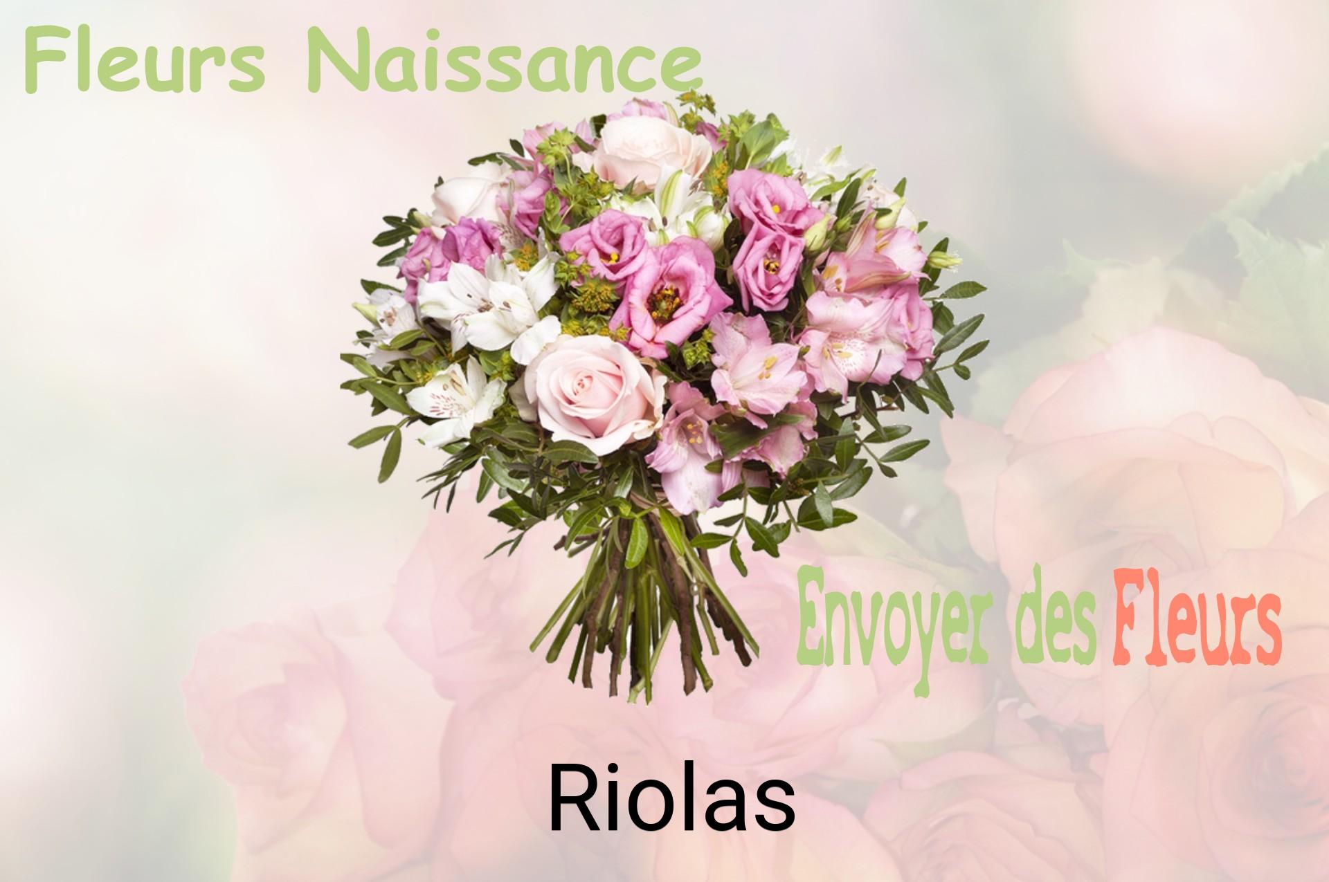 Bouquet de fleurs de naissance livré à Riolas